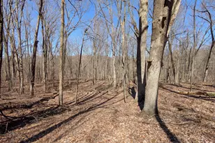 8289 52nd St SE, Alto, MI 49302 - Photo 1