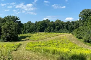 V/L Rumsey Rd, Three Rivers, MI 49093 - Photo 1