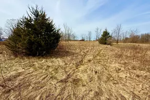 Hudson Rd, Pittsford, MI 49271 - Photo 1