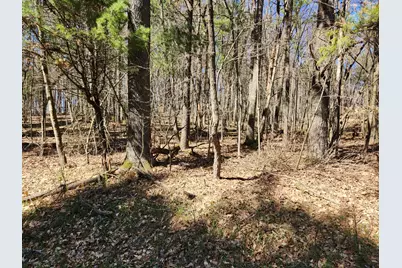 6165 E 92nd Street, Newaygo, MI 49337 - Photo 1