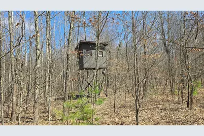 W 7 Mile Road, Irons, MI 49644 - Photo 1