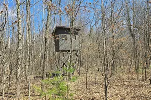 W 7 Mile Rd, Irons, MI 49644 - Photo 1