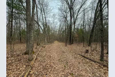 Cottonwood Avenue, Howard City, MI 49329 - Photo 1