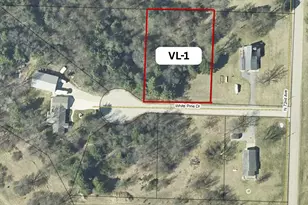 V/L-1 White Pine Dr, Hart, MI 49420 - Photo 1