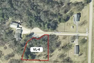 V/L-4 White Pine Dr, Hart, MI 49420 - Photo 1