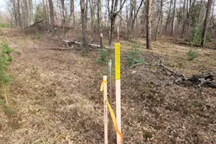 Vl 56th St, Baldwin, MI 49304 - Photo 1