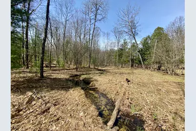 9.75 Acres Snyder Rd, Wellston, MI 49689 - Photo 1