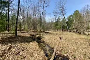 9 75 Acres Snyder Rd, Wellston, MI 49689 - Photo 1