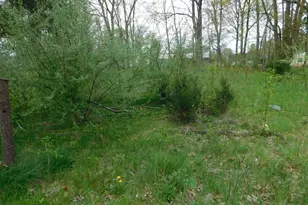 627 E E St Joseph St, Paw Paw, MI 49079 - Photo 1