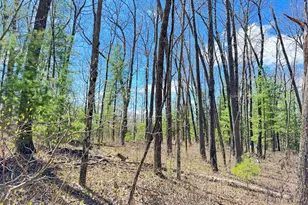 0 W Franklin St, Bitely, MI 49309 - Photo 1