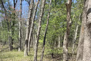 V/L W Coolidge St, Bitely, MI 49309 - Photo 1