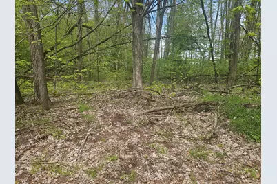 Parkway Avenue, Three Rivers, MI 49093 - Photo 1