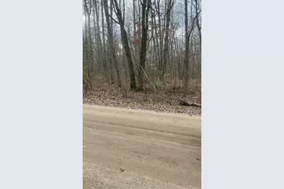 Lot 3 Pakes Road, Stanton, MI 48888 - Photo 1