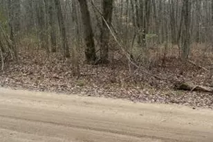 Lot 3 Pakes Rd, Stanton, MI 48888 - Photo 1