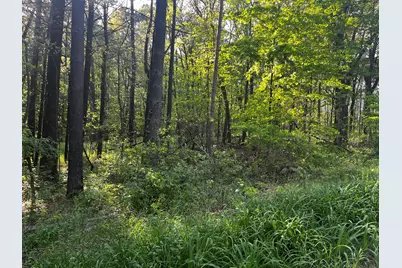 Parcel A Ivan Road, Saranac, MI 48881 - Photo 1