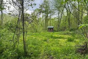 Vl Litchfield Rd, Quincy, MI 49082 - Photo 1