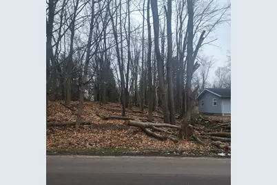 Burt Ave, Jackson, MI 49201 - Photo 1