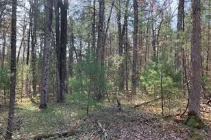 V/L S Merrilleville Rd, Baldwin, MI 49304 - Photo 1