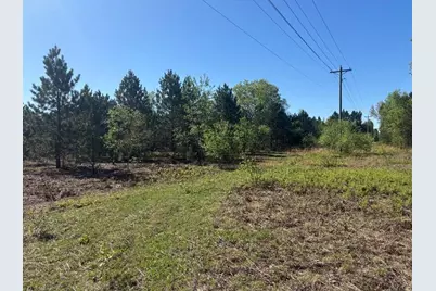 Parcel A Spruce, White Cloud, MI 49349 - Photo 1