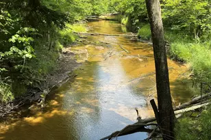 610 W Millerton Rd, Scottville, MI 49454 - Photo 1