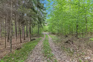 V/L E 8 Mile Rd, Luther, MI 49656 - Photo 1