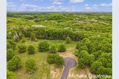 Parcel 6 Leaf Lane, Freeport, MI 49325 - Photo 1