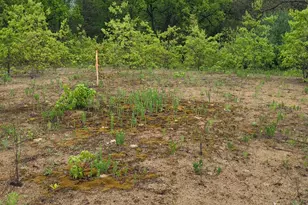 13770 Grindle Dr SE, Lowell, MI 49331 - Photo 1