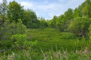 1052 E Clock Rd, Hart, MI 49420 - Photo 1