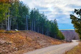 00 Maxey Rd, Arcadia, MI 49613 - Photo 1