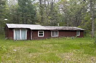 4465 E Old M-63, Luther, MI 49656 - Photo 1