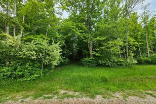 0000 Beachview Dr, South Haven, MI 49090 - Photo 1