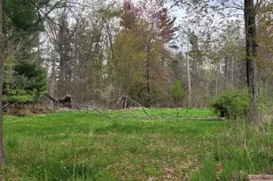 V/L Harbor Dr, Pentwater, MI 49449 - Photo 1