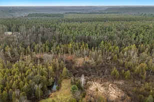 0 N Dennis Rd, Ludington, MI 49431 - Photo 1