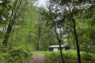 5220 Park Dr, Six Lakes, MI 48886 - Photo 1