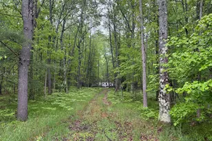 8073 W 10 1/2 Mile Rd, Irons, MI 49644 - Photo 1