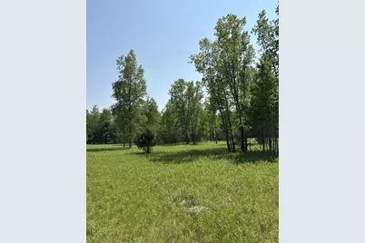 V/L 200th Avenue, Morley, MI 49336 - Photo 1