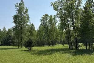 V/L 200th Ave, Morley, MI 49336 - Photo 1