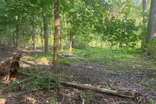 11000 Macon Hwy, Clayton, MI 49236 - Photo 1