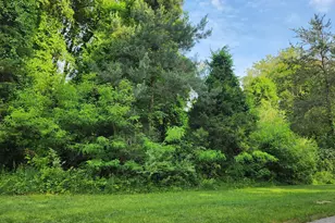 6591 Phoenix Ct SE, Alto, MI 49302 - Photo 1