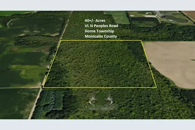 Vl Peoples Road, Edmore, MI 48829 - Photo 1