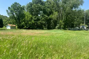 0 Prairie River Dr, Coldwater, MI 49036 - Photo 1