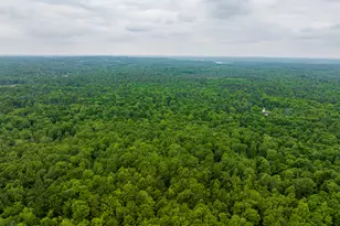 8114 E 72nd St, Newaygo, MI 49337 - Photo 1