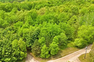 80+/- Acres V/L 140th Ave, Stanwood, MI 49346 - Photo 1