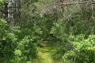 19798 Yankee Rd, Howard City, MI 49329 - Photo 1