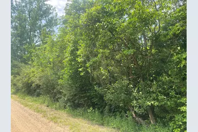 V/L N 55th Street-A, Grand Junction, MI 49056 - Photo 1