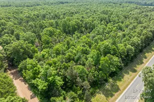 Parcel 8 S 72nd Ave, Montague, MI 49437 - Photo 1