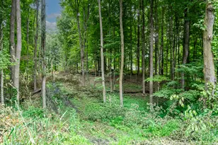 0 Dutch Settlement St, Vandalia, MI 49095 - Photo 1