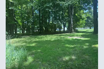 V/L E South Street, Marcellus, MI 49067 - Photo 1