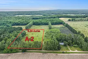 6 24 Acres W Tyler Rd, Mears, MI 49436 - Photo 1