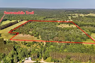 52 Acres Tannerville Rd, Kaleva, MI 49645 - Photo 1